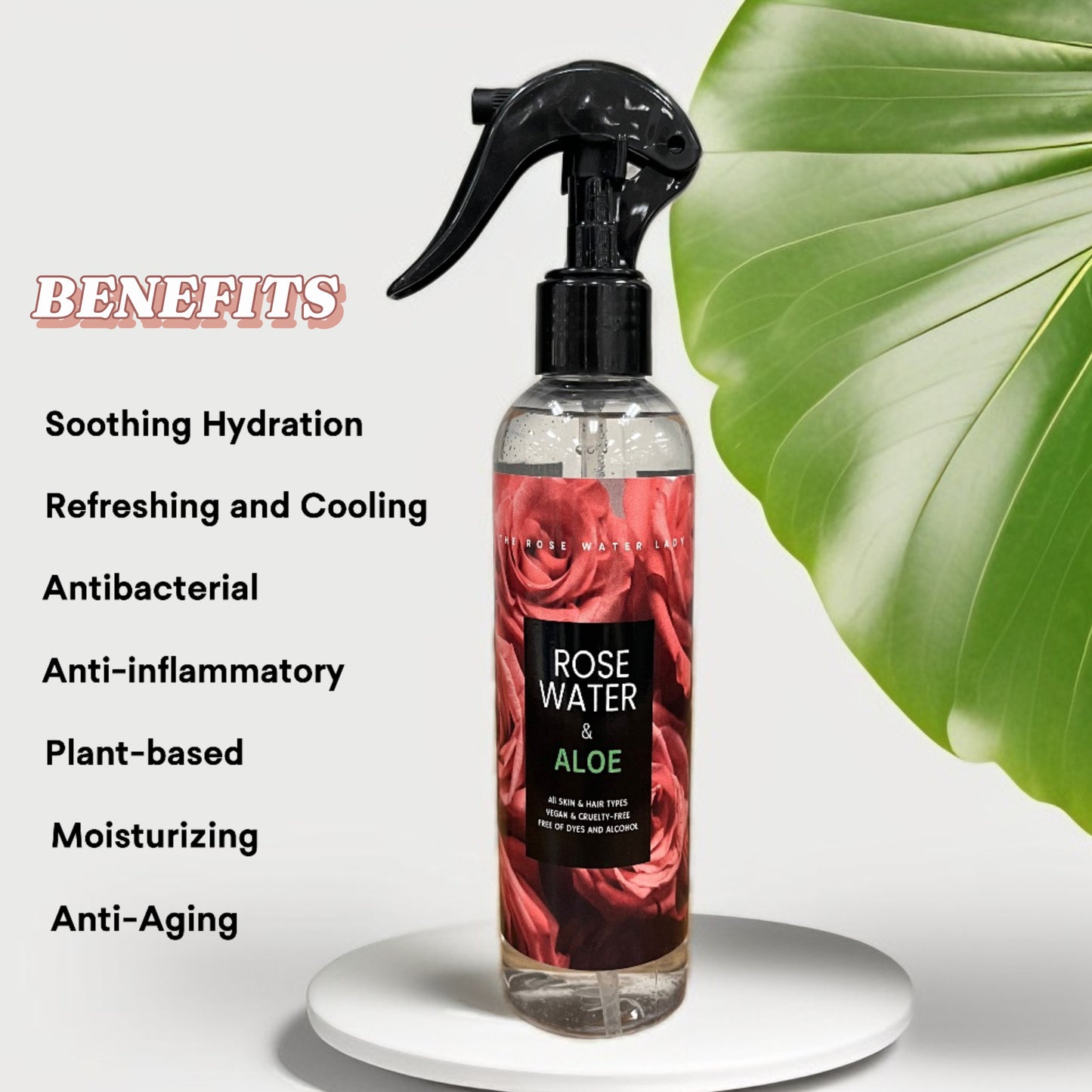 Rosewater & Aloe
